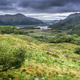 The rolling hills of Ireland.